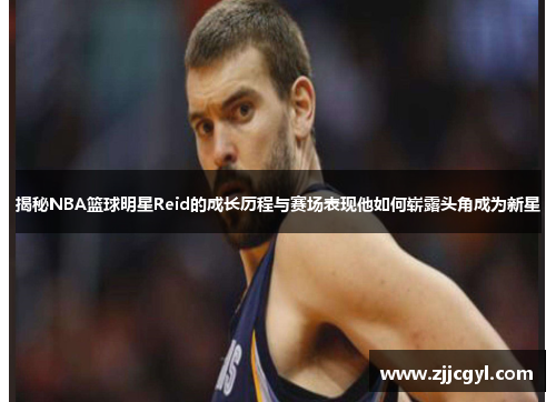 揭秘NBA篮球明星Reid的成长历程与赛场表现他如何崭露头角成为新星